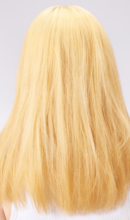 ツヤがなくダメージが目立つ髪