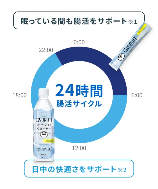 0:00 6:00 12:00 18:00 22:00 24時間腸活サイクル 眠っている間も腸活をサポート※1 日中の快適さをサポート※2