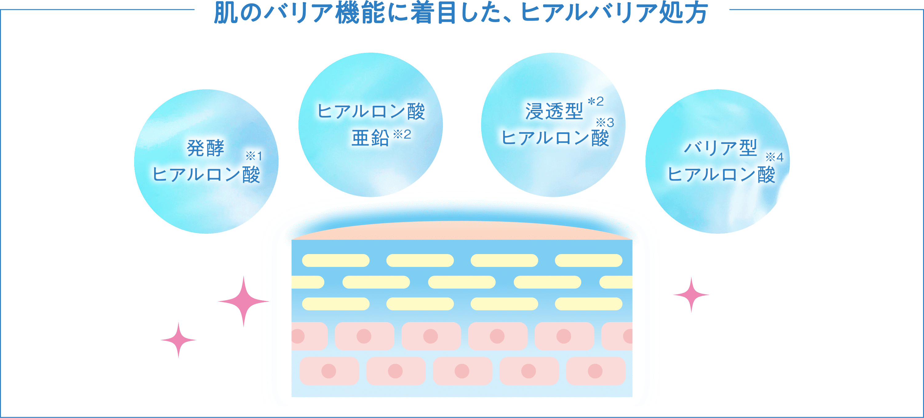 肌のバリア機能に着目した、ヒアルバリア発行ヒアルロン酸※1 ヒアルロン酸 亜鉛※2 浸透型*2 ヒアルロン酸※3 バリア型 ヒアルロン酸※4