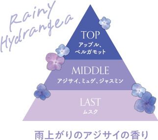 アジサイ葉エキス（保湿）