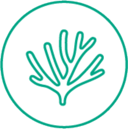 アロエベラ葉エキス