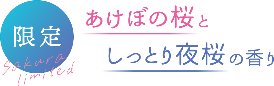 限定品 LIMITED