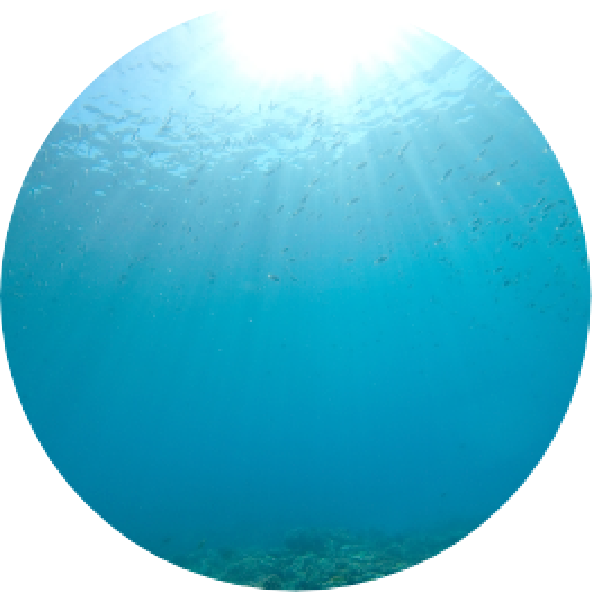 プロテオグリカン