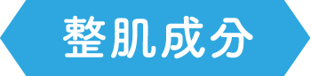 整肌成分