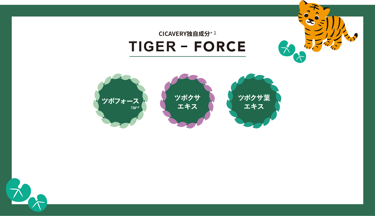 CICAVERY独自成分 TIGER-FORCE