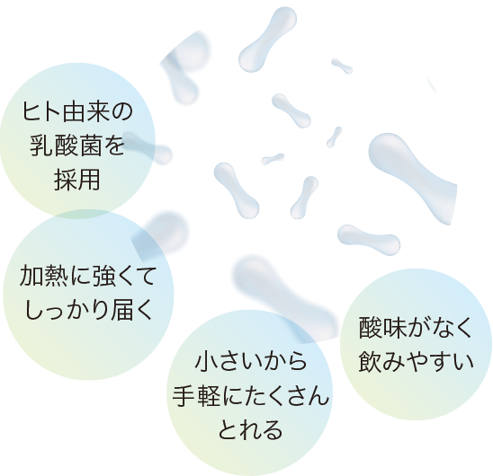 ヒト由来の乳酸菌を採用