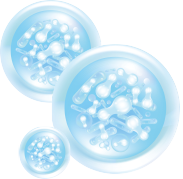 しっかり届く乳酸菌