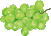 贅沢サポートな成分