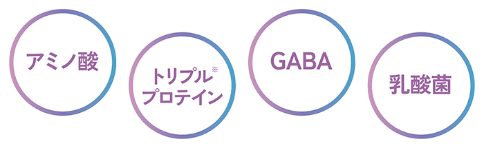アミノ酸・トリプルプロテイン・GABA・乳酸菌