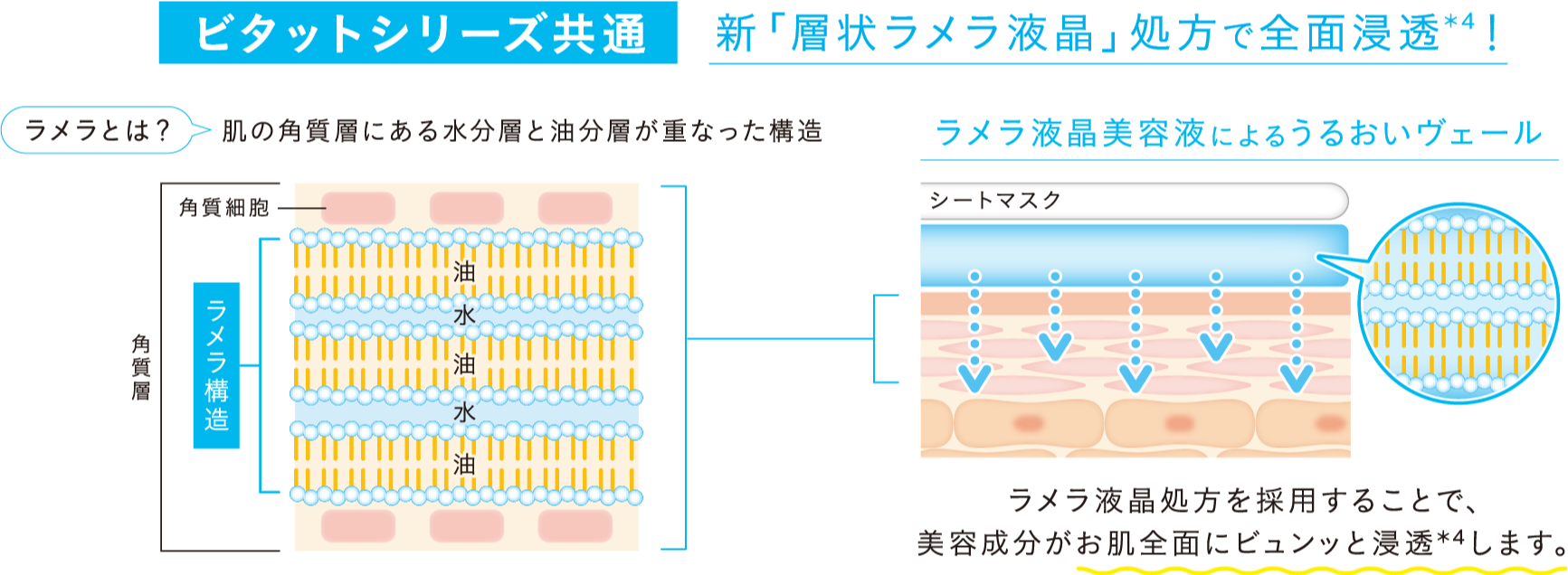 ビタットシリーズ共通 新「層状ラメラ液晶」処方で全面浸透