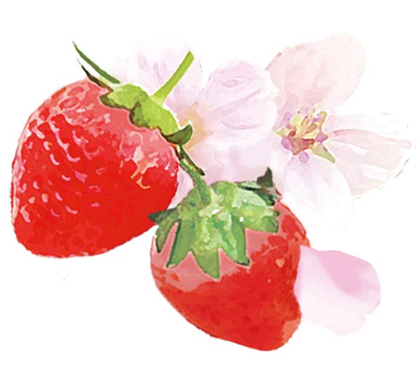 野イチゴサクラの香り