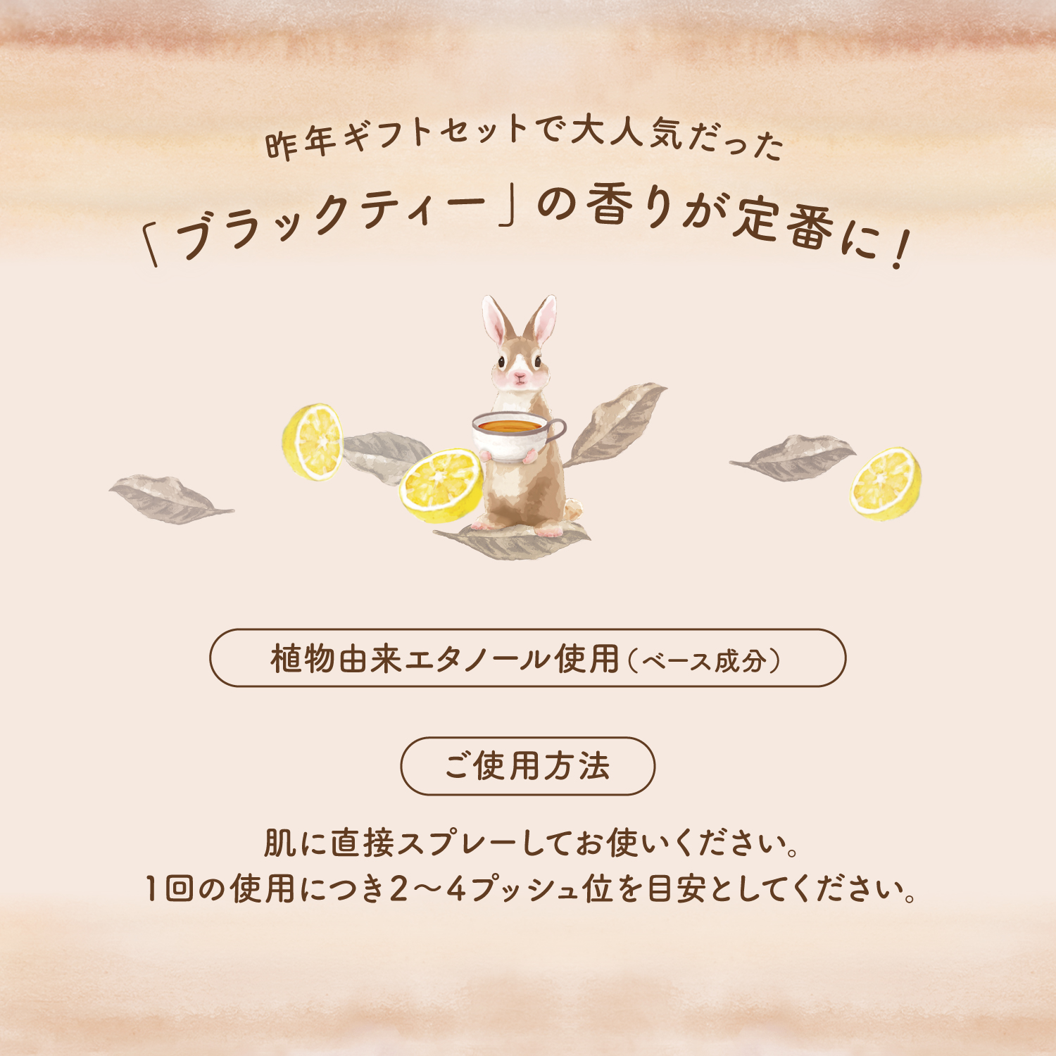 ワンダーハニー　ファンファントワレ　すっきり果実のブラックティー　ボディケア　フレグランス　オードトワレ　昨年ギフトで大人気だった「ブラックティー」の香りが定番に！　植物由来エタノール使用（ベース成分）　HOW TO